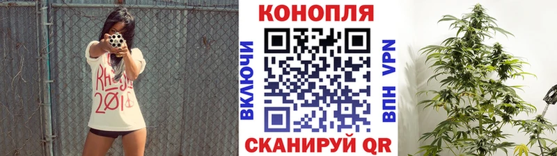 Конопля Болхов