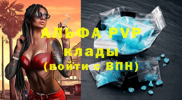молекула духа Осташков
