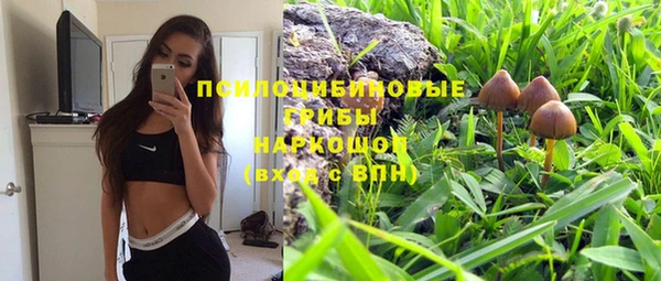 мдпв Нягань