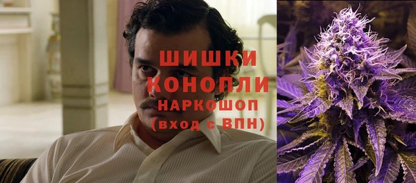 молекула духа Осташков