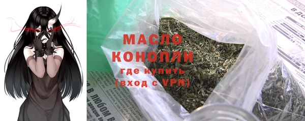 молекула духа Осташков