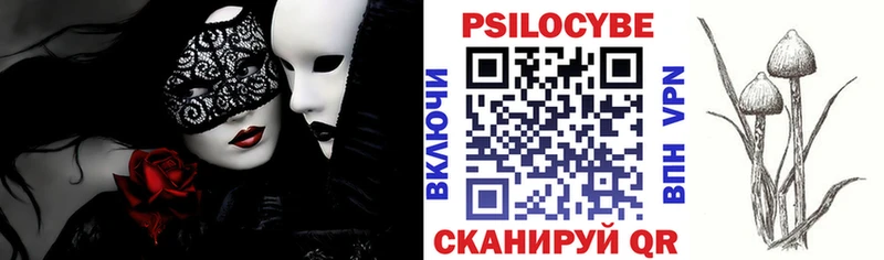 даркнет Telegram  Болхов  Галлюциногенные грибы Psilocybe 